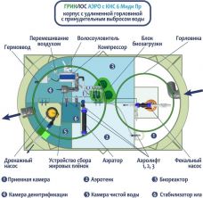 Гринлос Аэро с КНС 6 Пр Миди